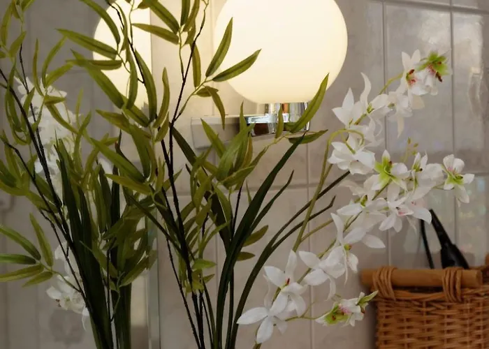 Siebensteinkopf By Interhome Apartment *