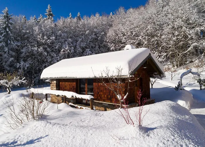 Apartment Siebensteinkopf By Interhome *